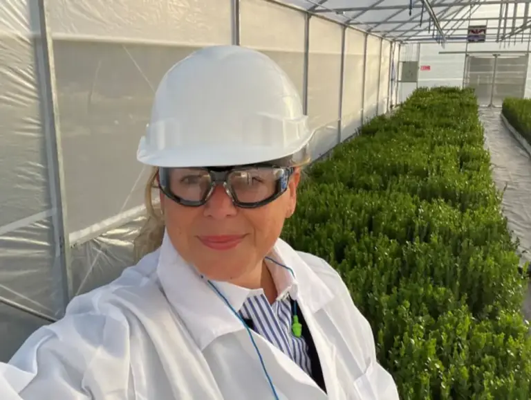 Dr. Sybille Buchwald-Werner as a researcher in greenhouse with protective gear inspects plants